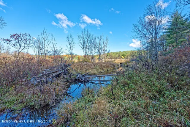 $350,000 | L8 Lower Cady Road, Old Chatham, NY 12136