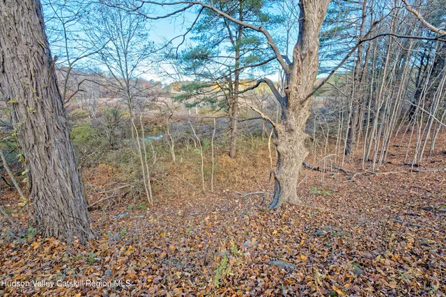 $350,000 | L8 Lower Cady Road, Old Chatham, NY 12136