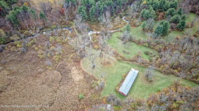 a view of a yard with large trees