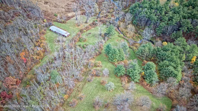 a view of a yard with plants and trees