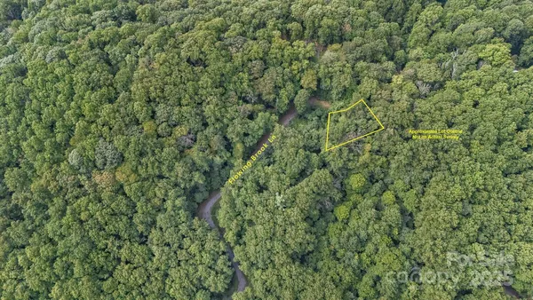 a view of a lush green forest