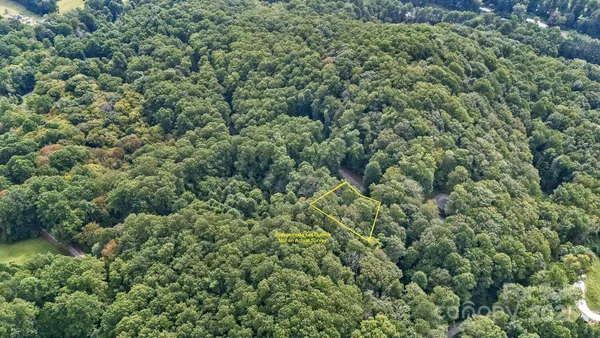 view of a lots of trees and bushes