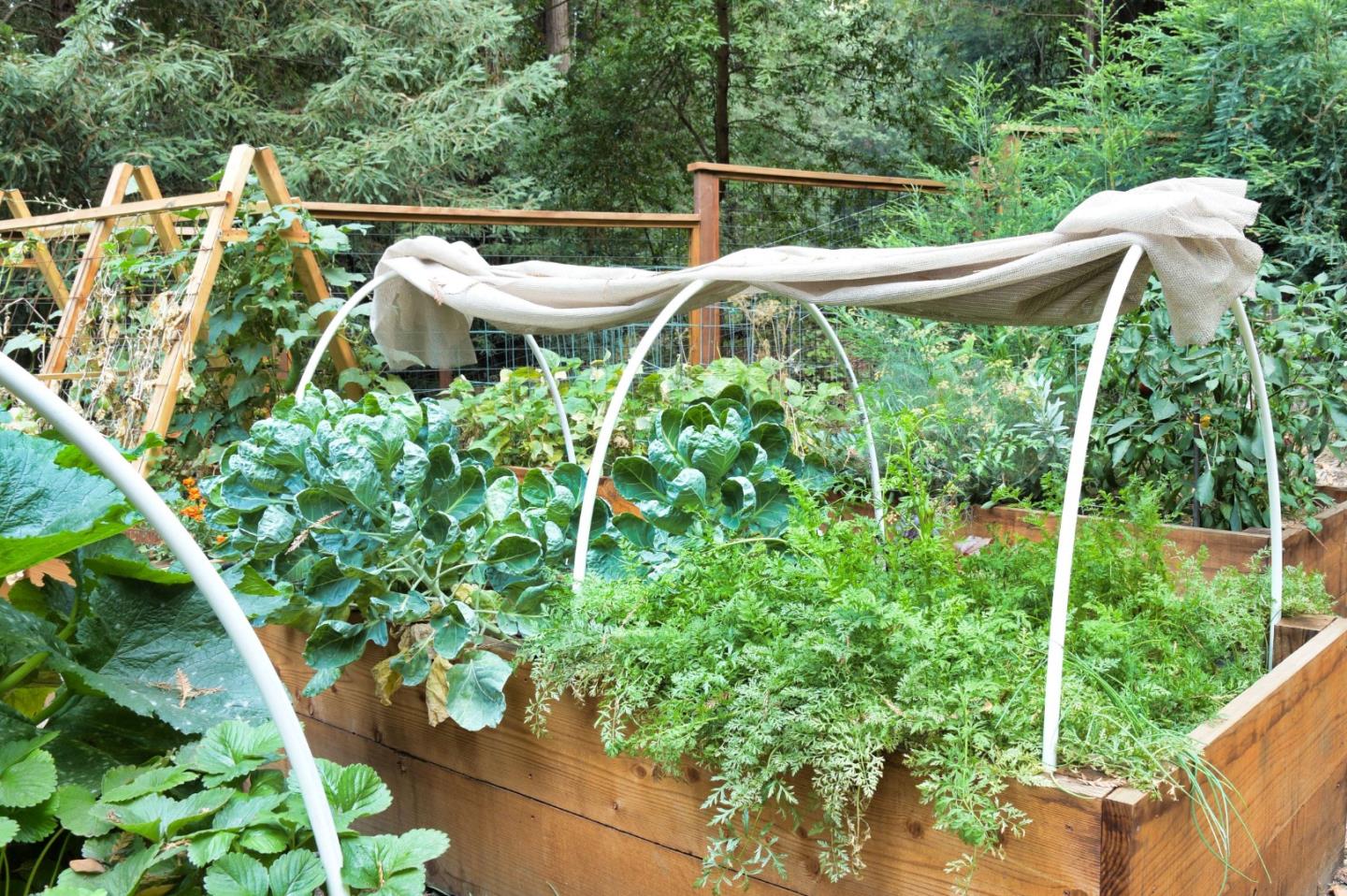 Long Ridge Road Los Gatos, CA 95033 - Photo 15 of 30 a patio with table and chairs and potted plants