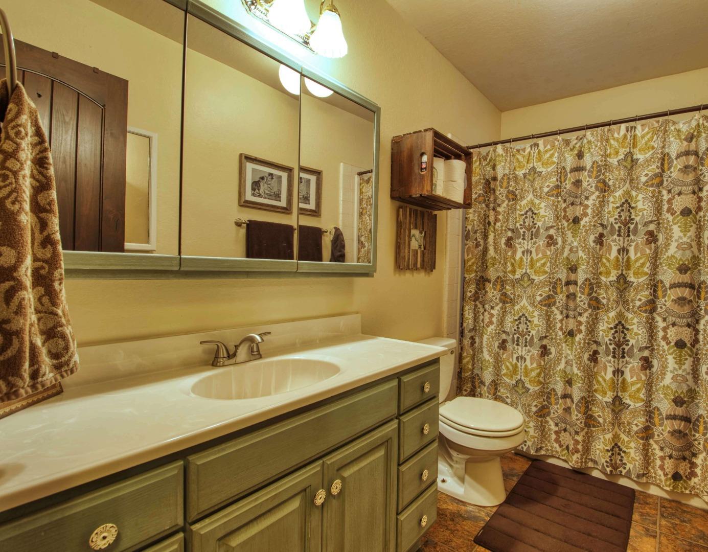 Long Ridge Road Los Gatos, CA 95033 - Photo 26 of 30 a bathroom with a sink a toilet and shower