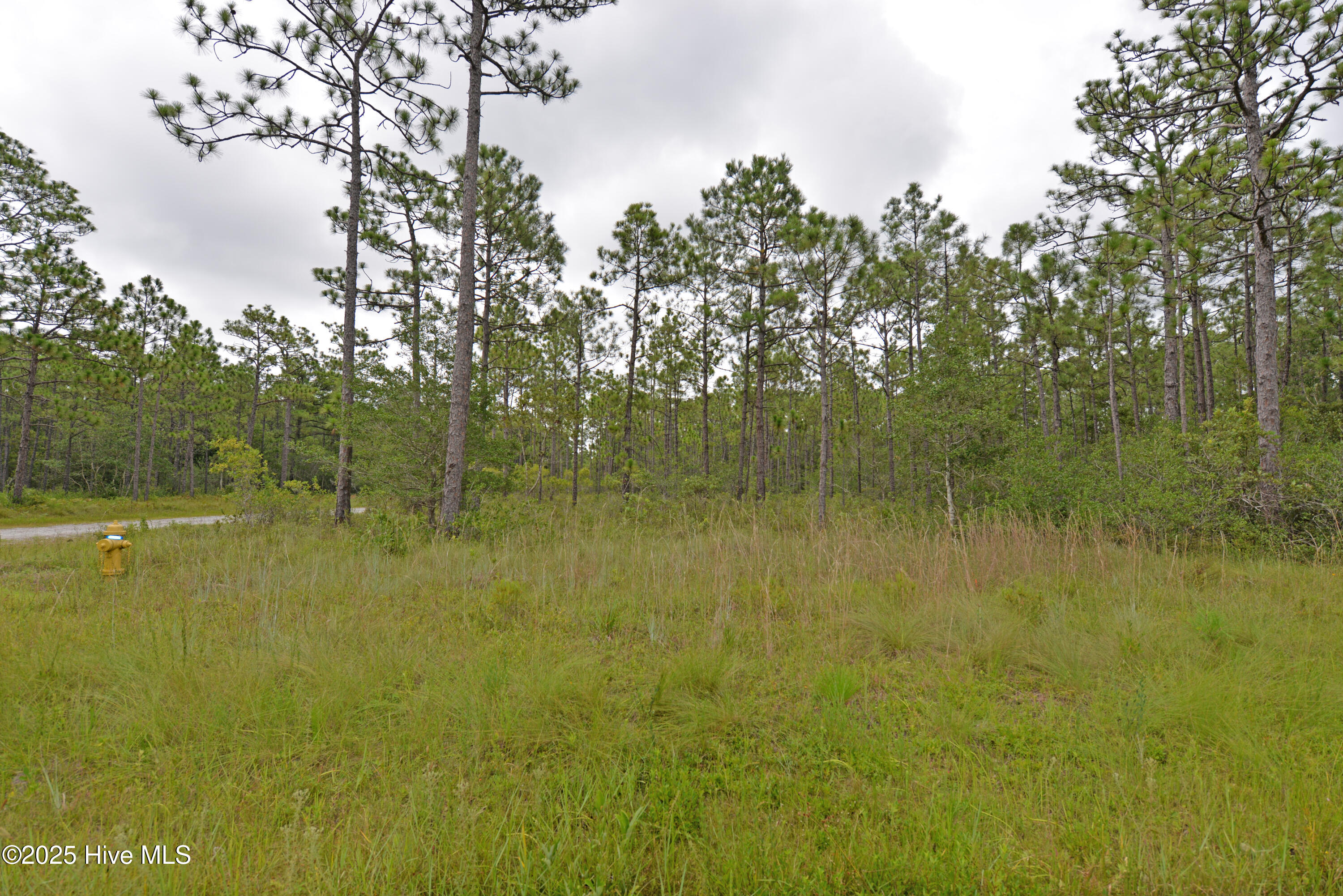 L-272 East Boiling Spring Road Southport, NC 28461 - Photo 1 of 11 Lot 272 E. Boiling Spring Road