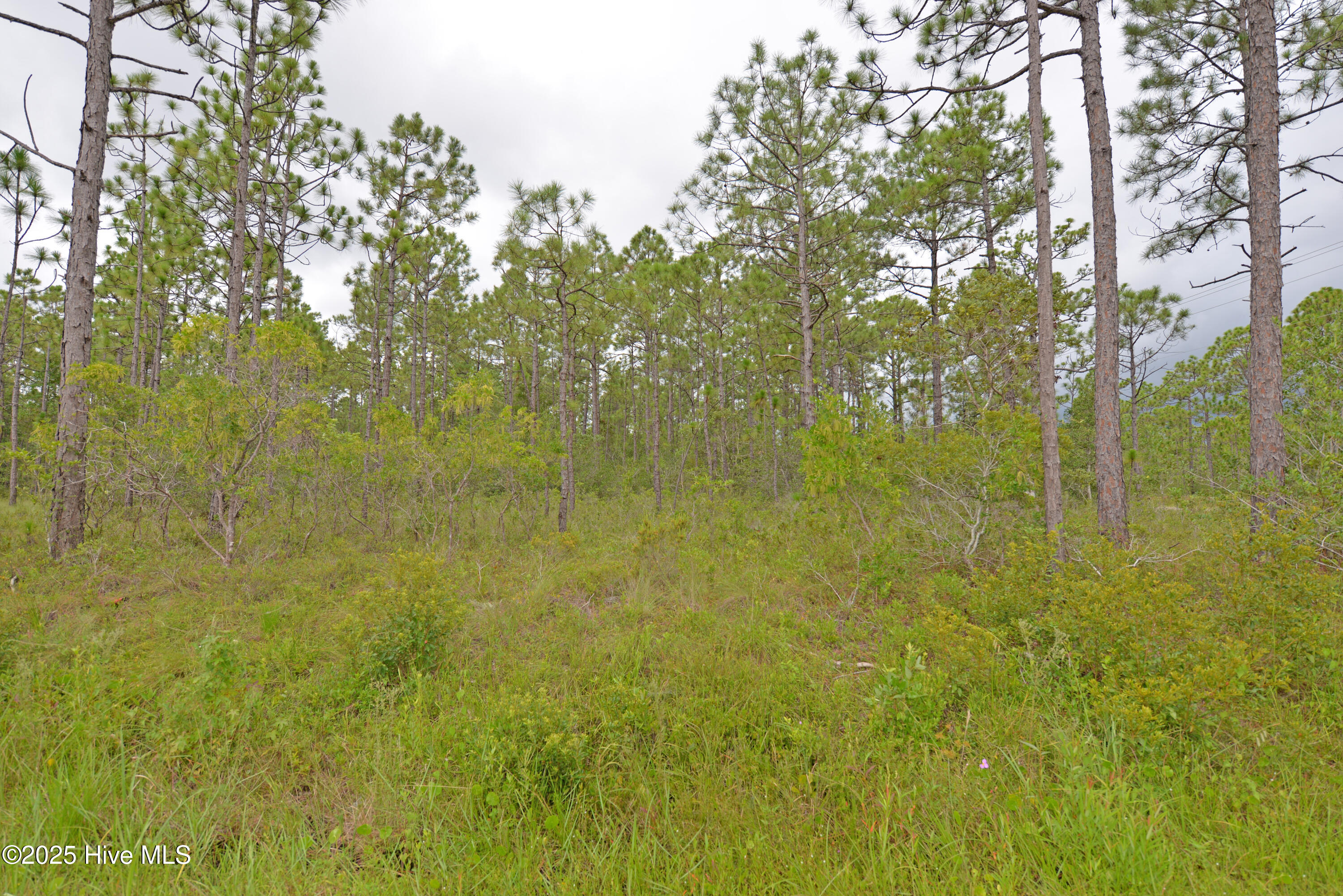 L-272 East Boiling Spring Road Southport, NC 28461 - Photo 2 of 11 lot 272 - 2