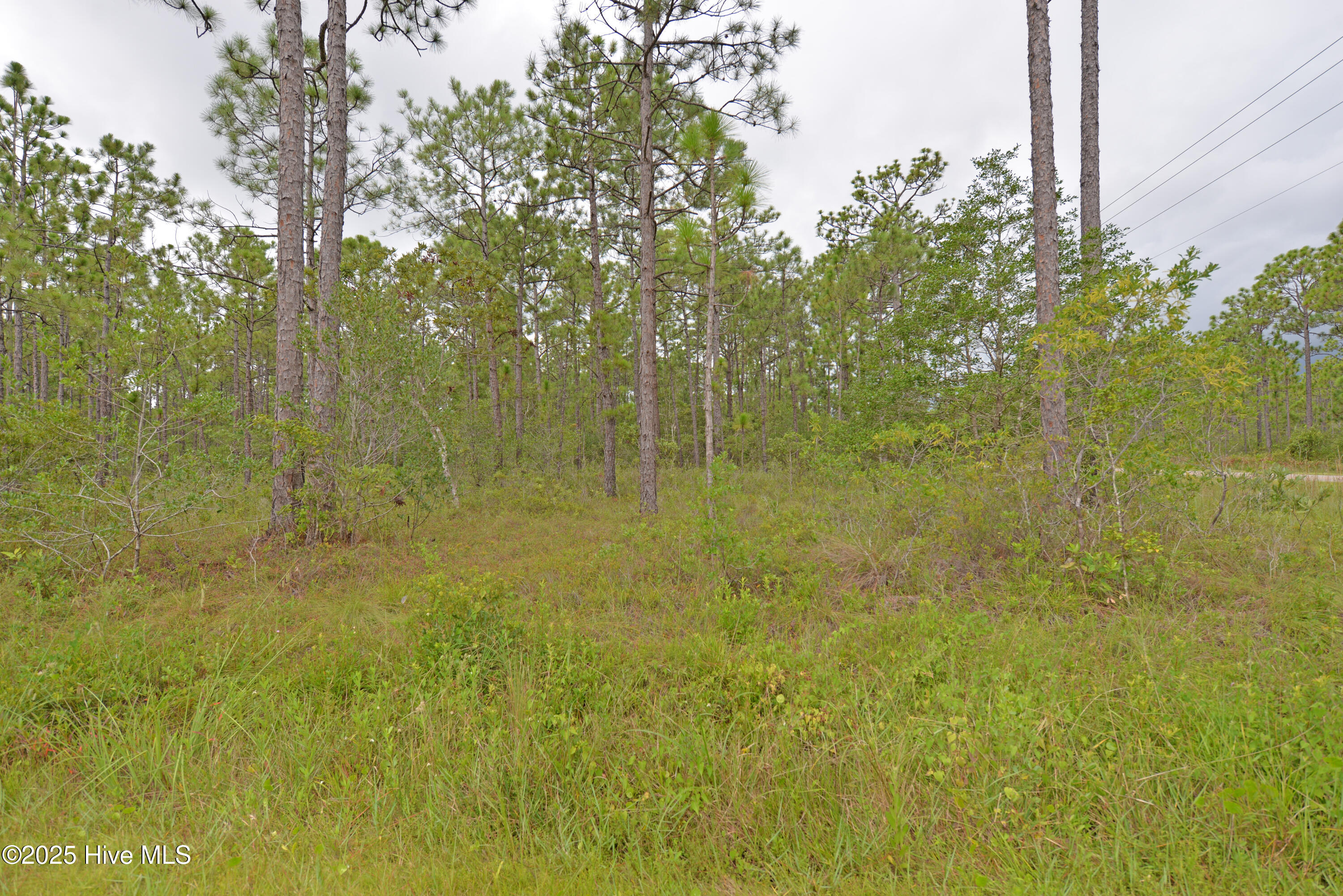 L-272 East Boiling Spring Road Southport, NC 28461 - Photo 3 of 11 Lot 272 -1