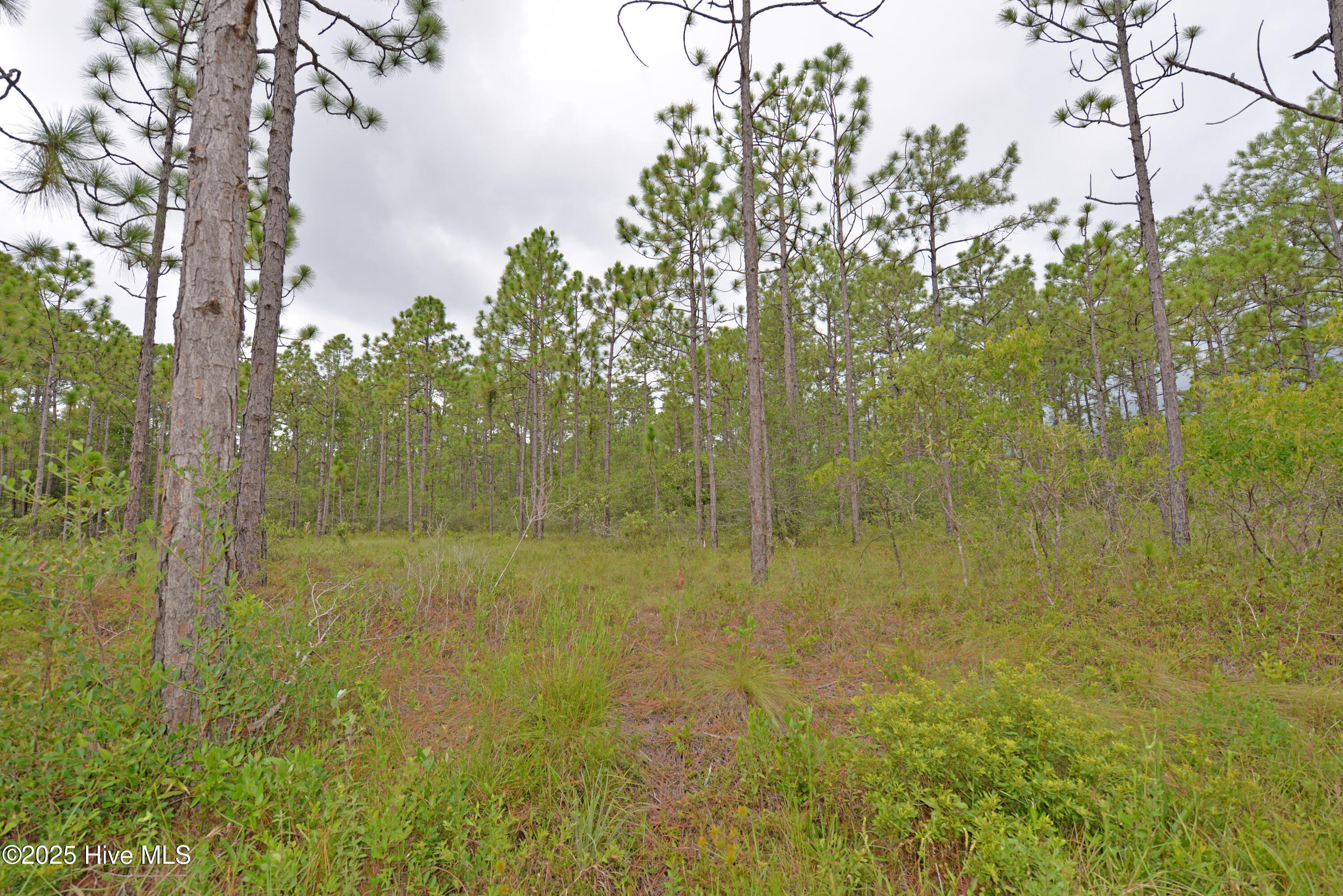 L-272 East Boiling Spring Road Southport, NC 28461 - Photo 4 of 11 lot 272-3
