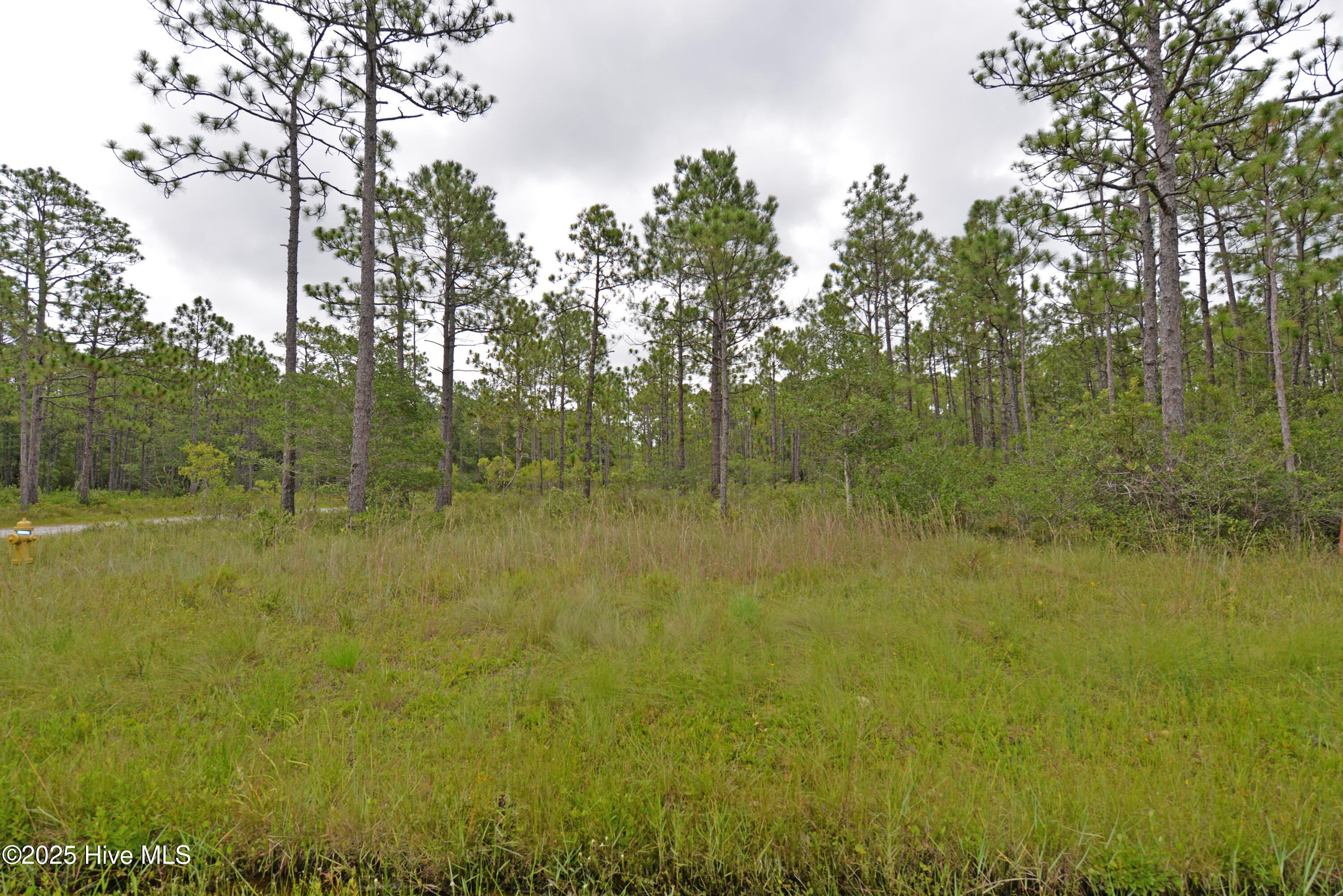 L-272 East Boiling Spring Road Southport, NC 28461 - Photo 5 of 11 lot 272-5