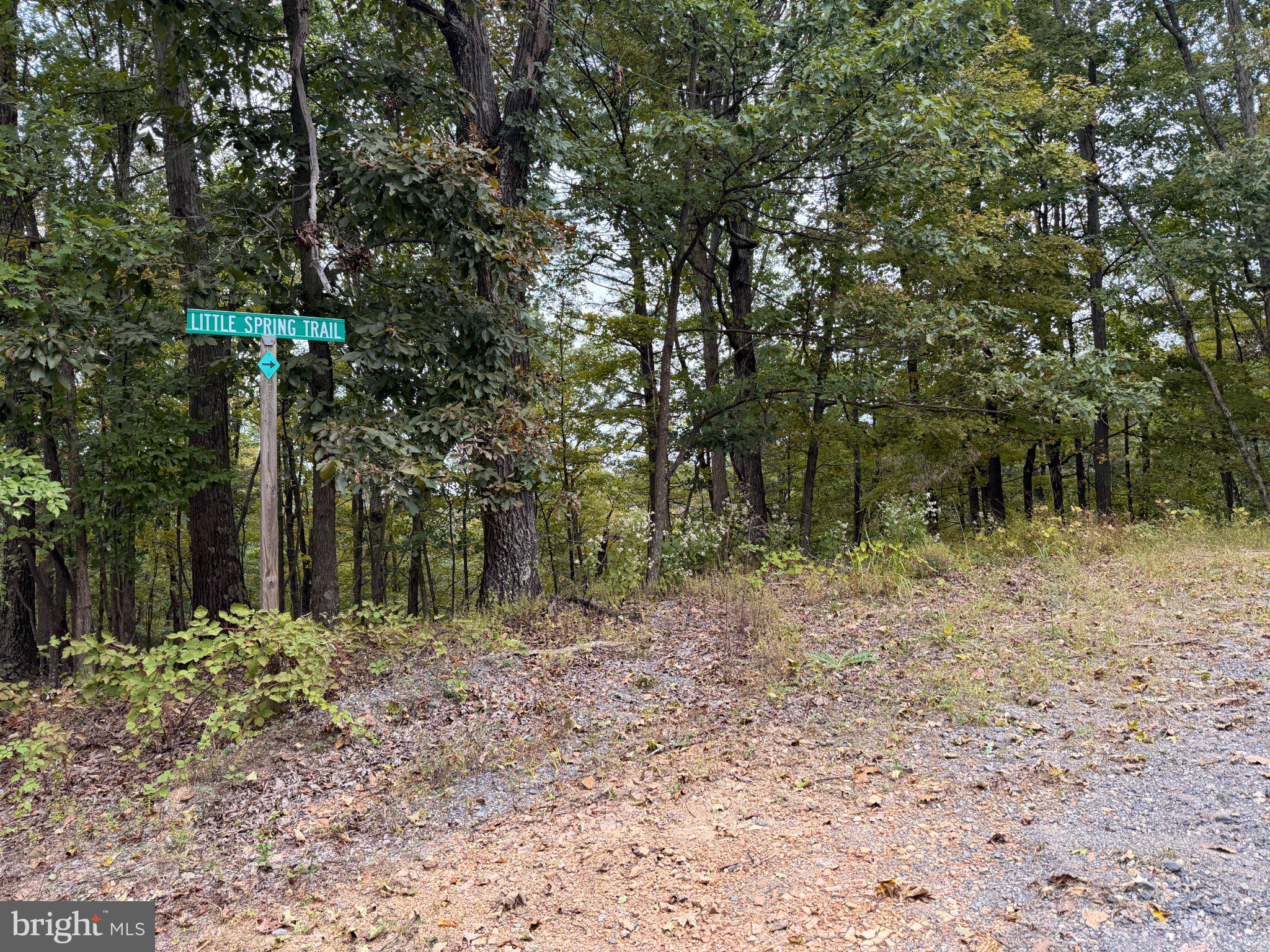 24200 East Hancock Road Flintstone, MD 21530 - Photo 112 of 126 Start of private road access