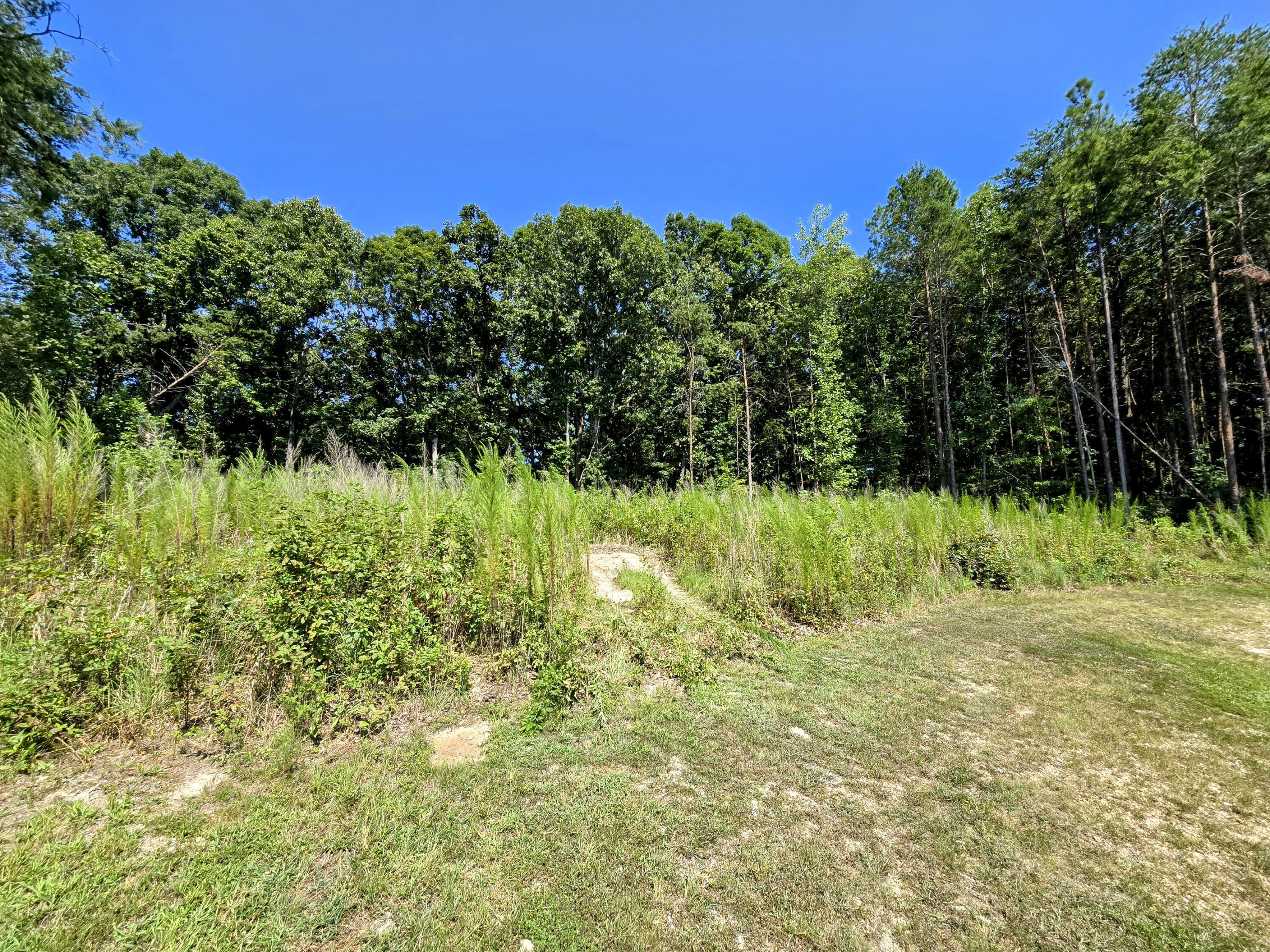 480 Newt Johnson Road Chickamauga, GA 30707 - Photo 38 of 51 20240810_160721~2