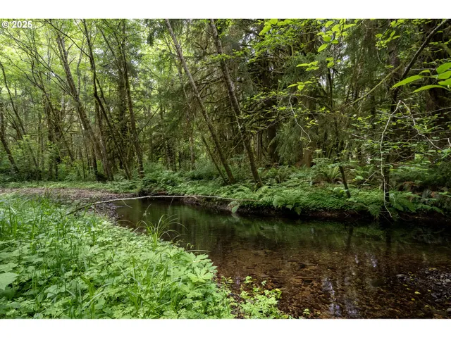 a big yard with lots of green space