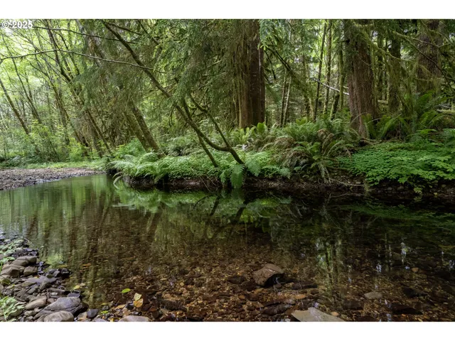 a aerial view of residential house with outdoor space and trees around