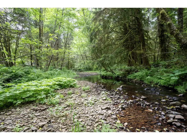 a view of lake with green space