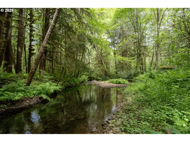 a view of outdoor space and garden