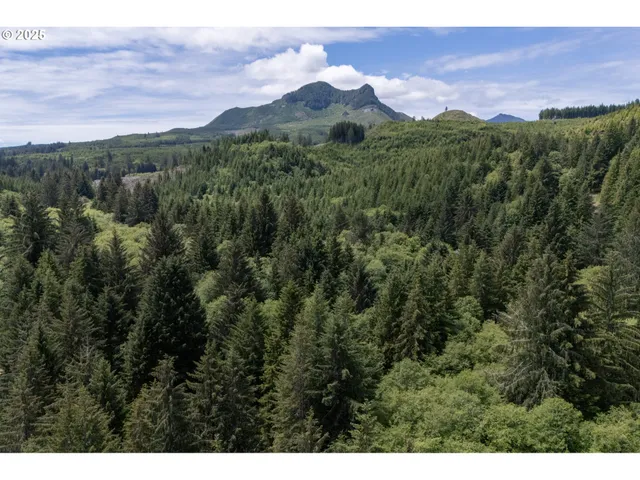a view of a lush green hillside and a mountain
