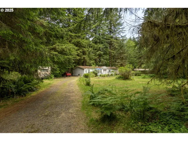 a view of backyard of house