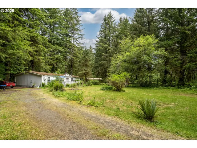 a green field with trees in the background
