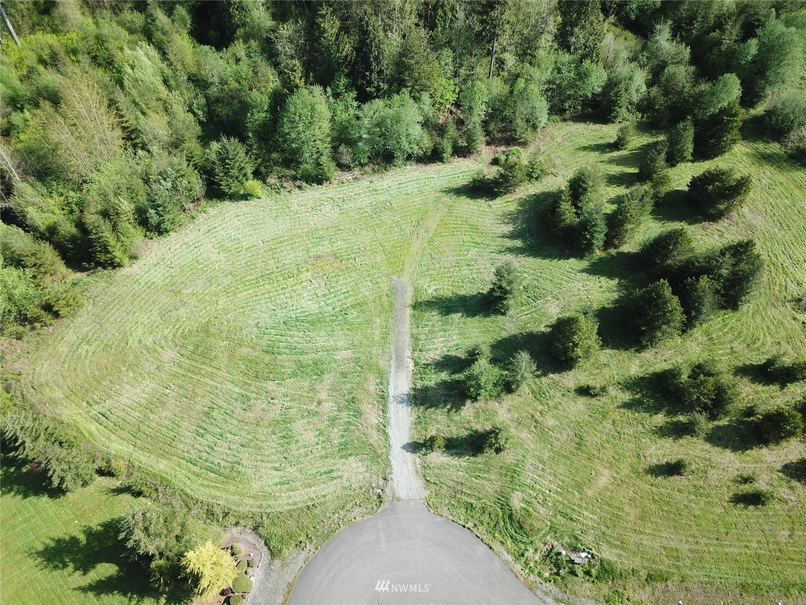 5825 139th Trail Southwest Rochester, WA 98579 - Photo 5 of 7 a view of a forest with a house