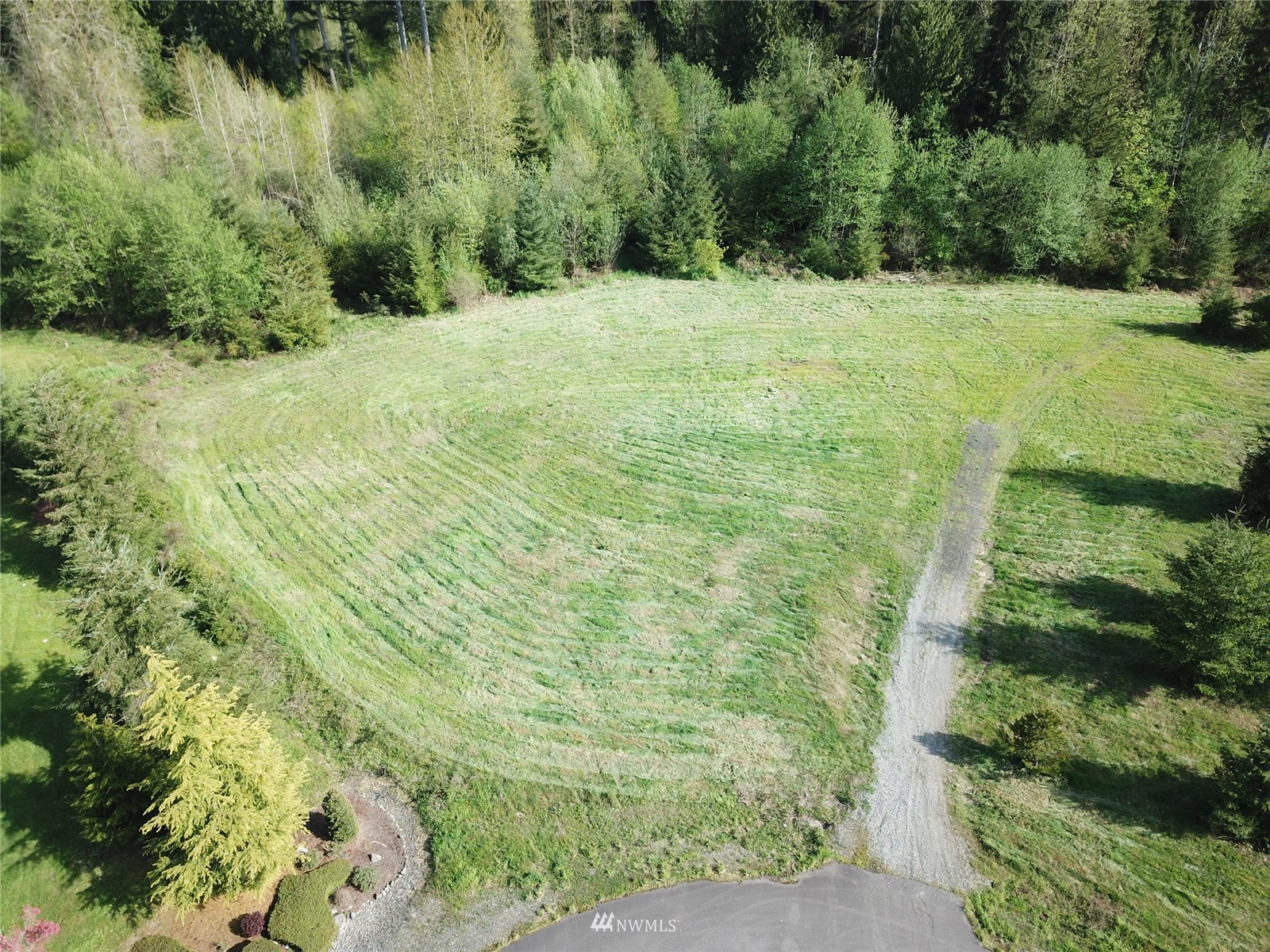 5825 139th Trail Southwest Rochester, WA 98579 - Photo 7 of 7 a view of outdoor space and trees
