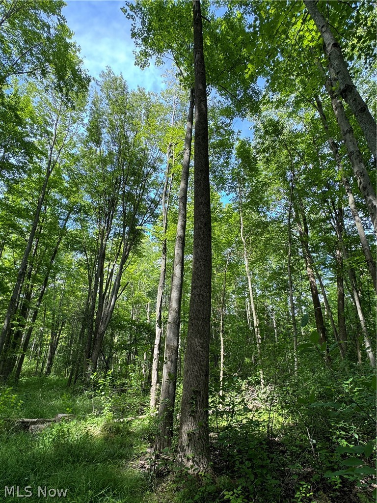 5 Leroy Center Road Thompson, OH 44086 - Photo 16 of 20