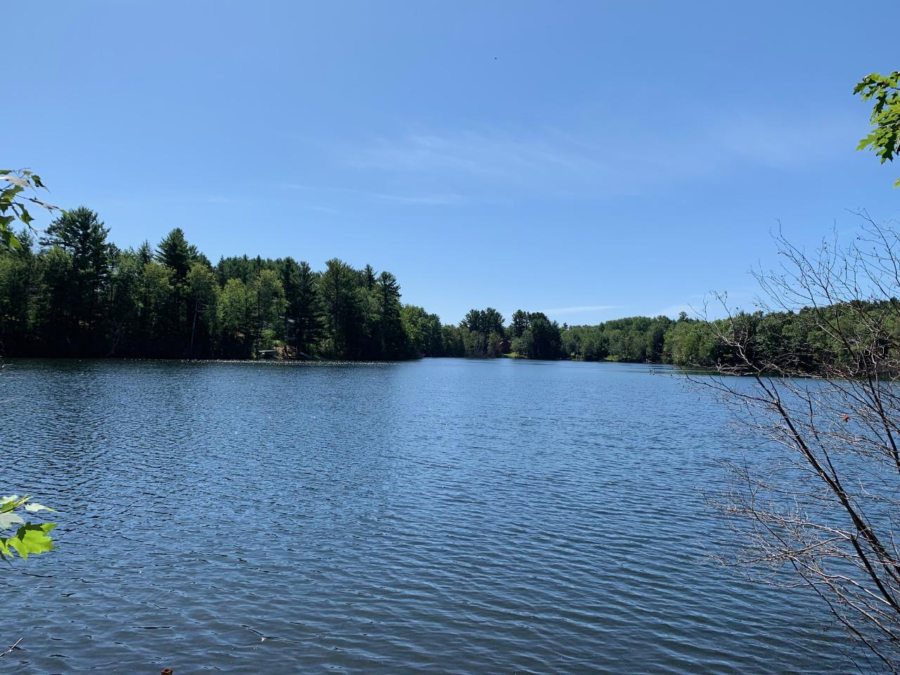 Off Hall Road Woodruff, WI 54568 - Photo 1 of 11 Gallery Image 1