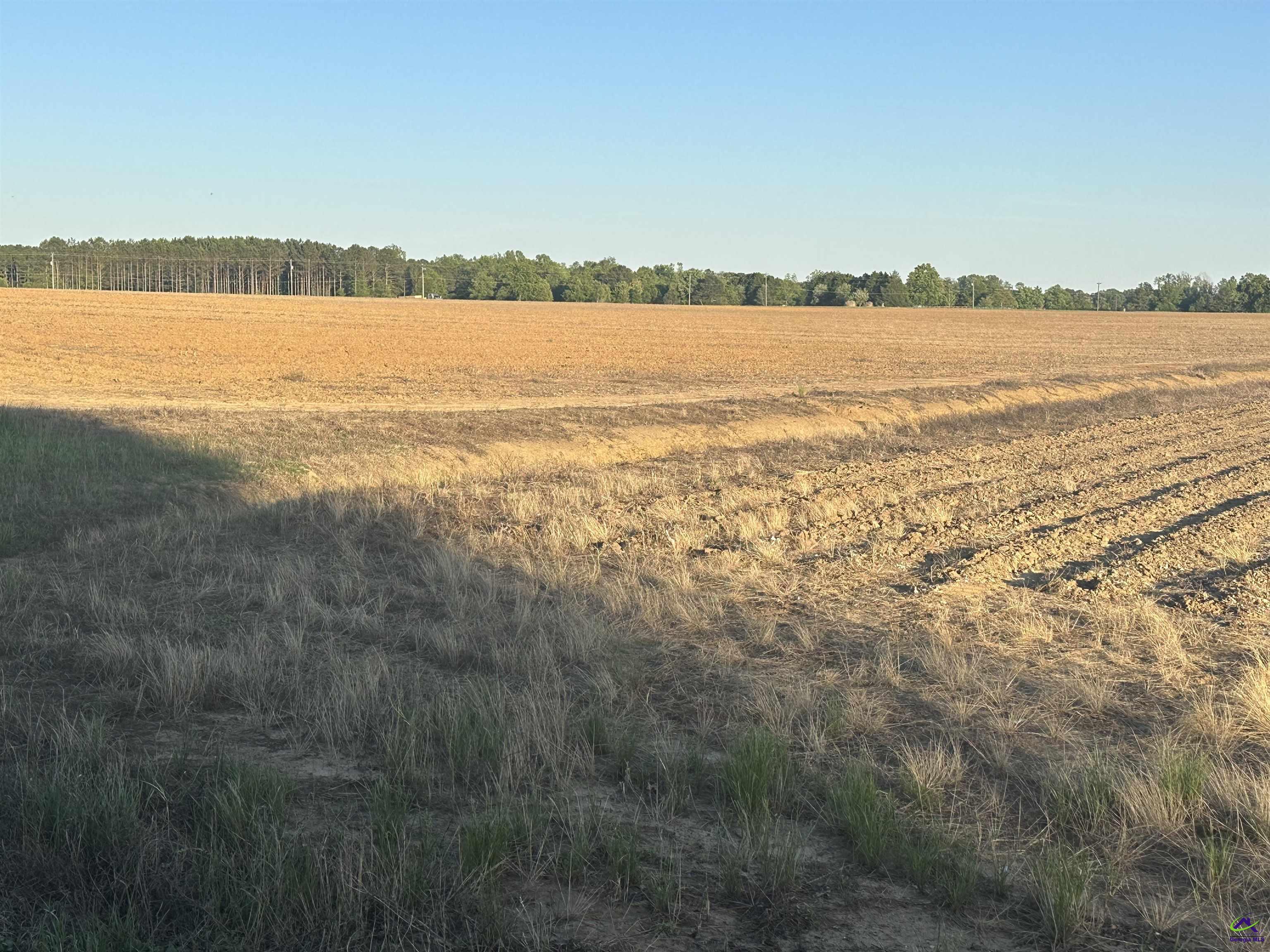 Lot#14 Southwest Elko (5.51 Acres) Road Elko, GA 31025 - Photo 5 of 9