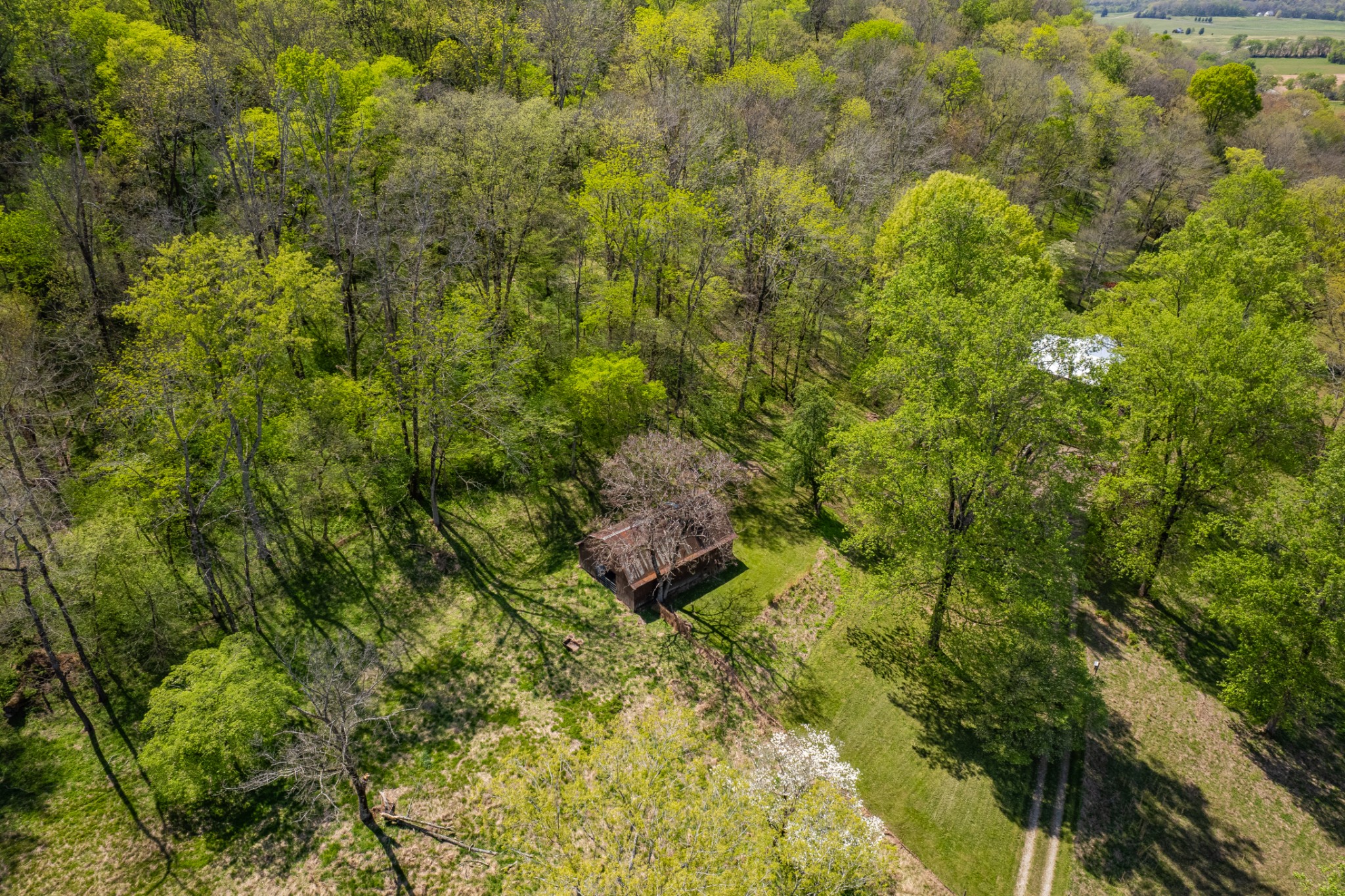 8039 Campbellsville Road Pulaski, TN 38478 - Photo 67 of 100