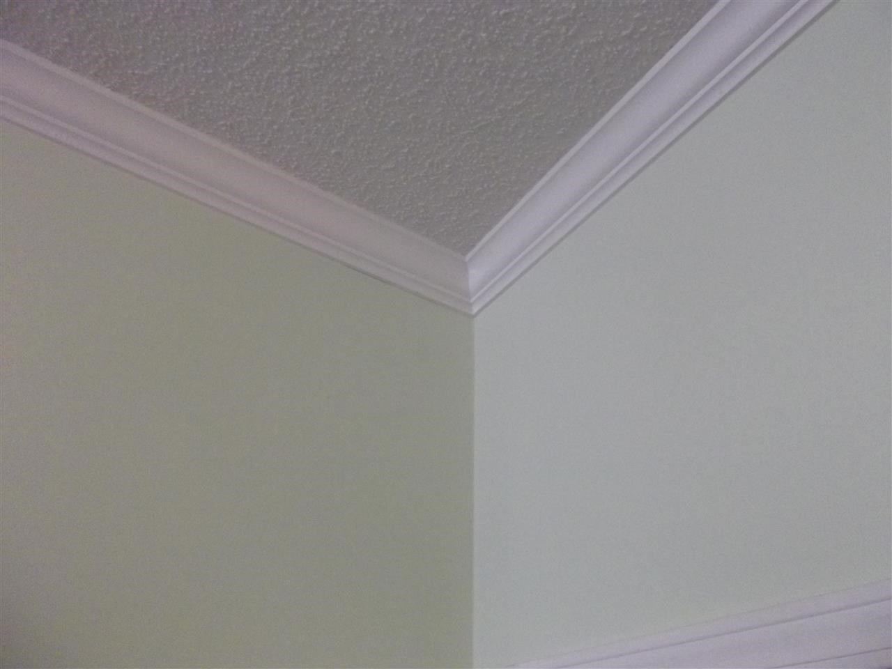 474 Hallie Martin Road Conway, SC 29527 - Photo 12 of 25 Gallery Image 12