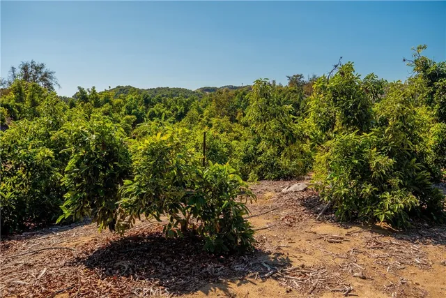 $379,000 | 15 Camaron Road, Temecula, CA 92590