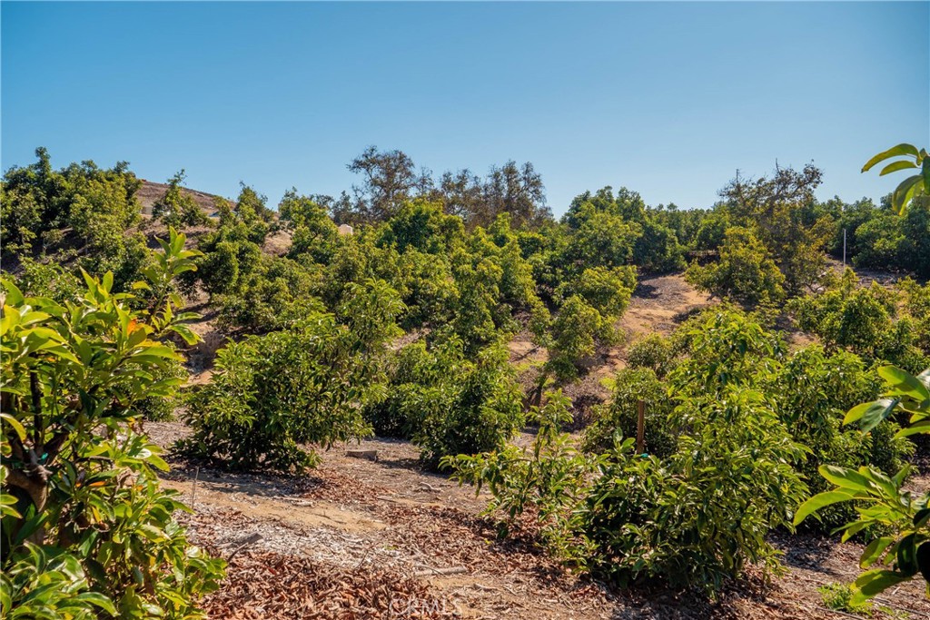 15 Camaron Road Temecula, CA 92590 - Photo 8 of 12