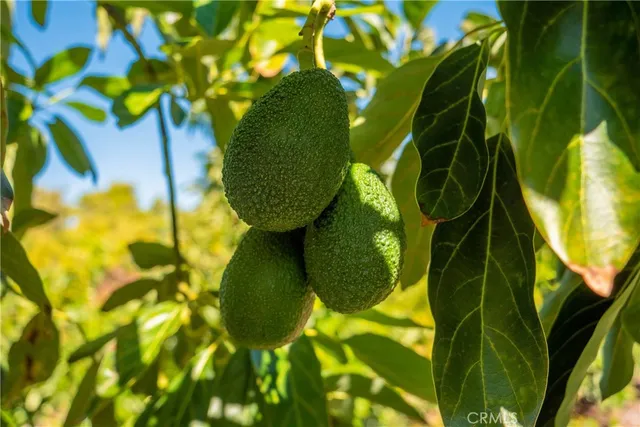 $379,000 | 15 Camaron Road, Temecula, CA 92590