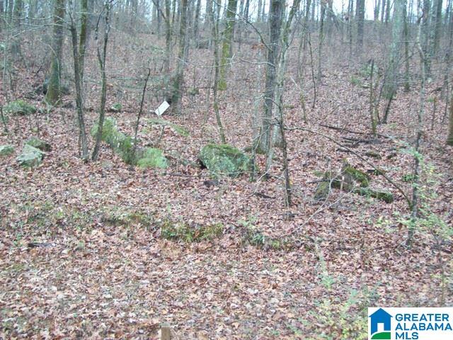 3373 Morgan Road Bessemer, AL 35022 - Photo 3 of 34 Gallery Image 3