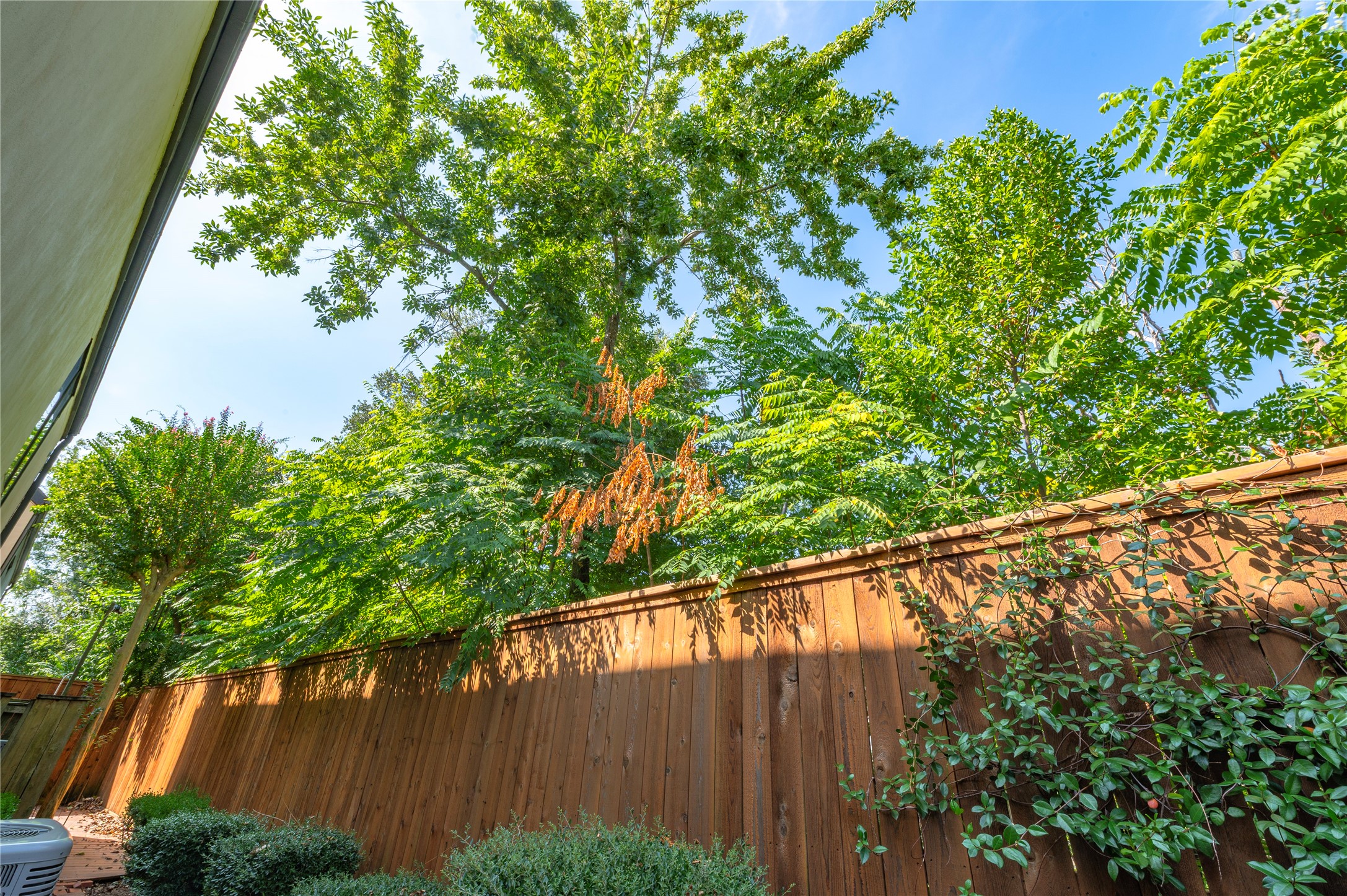 5300 Mercer Street, Unit 7 Houston, TX 77005 - Photo 38 of 41 No back neighbors, beautiful trees