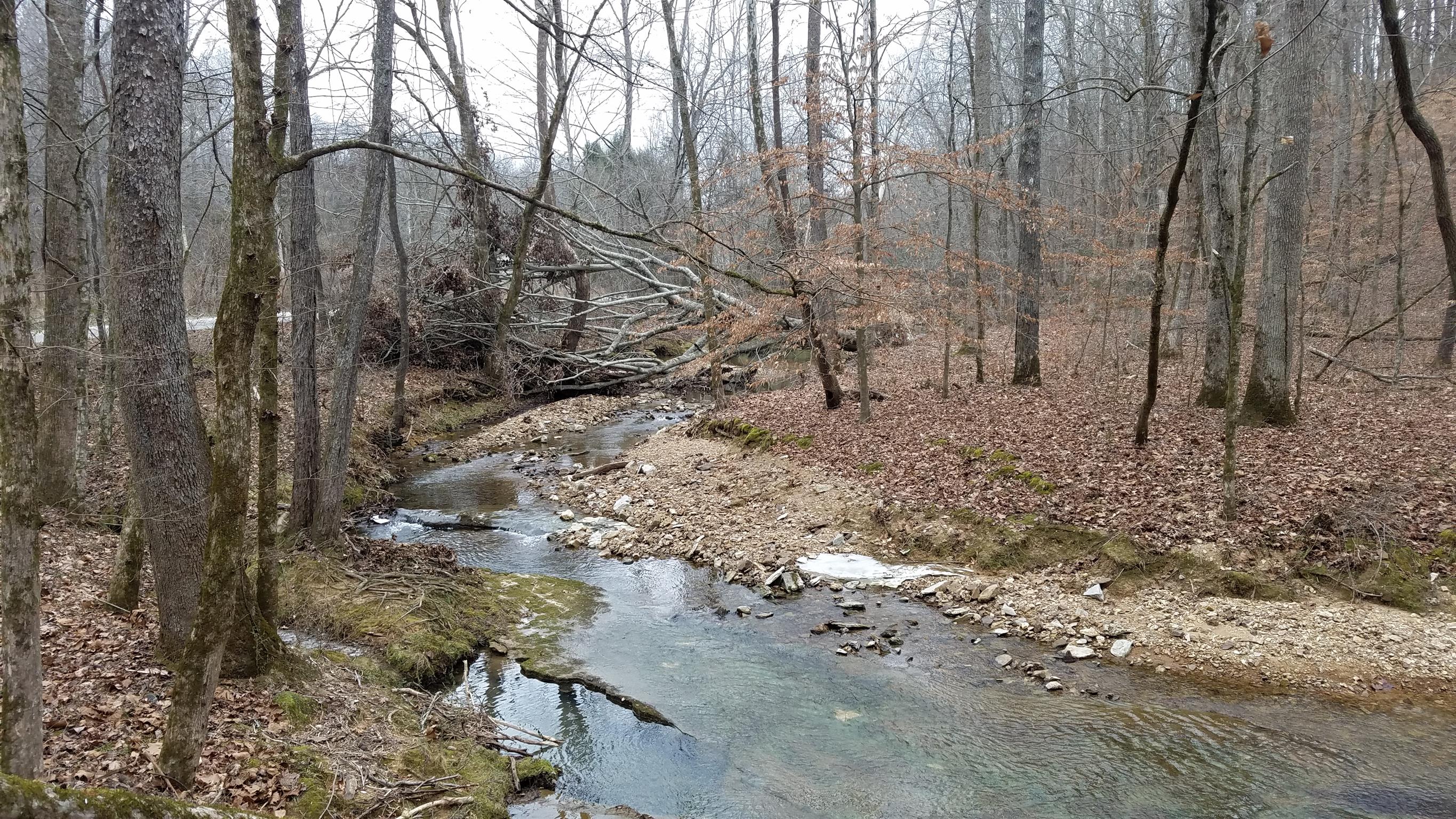 0 Johnny Crow Road Bon Aqua, TN 37025 - Photo 6 of 7 Gallery Image 6