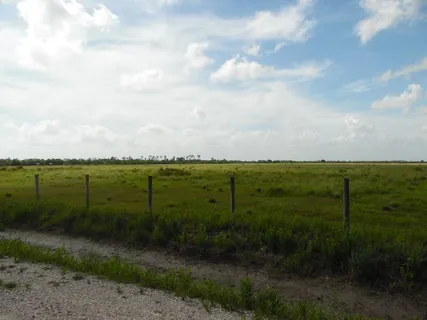 $52,325 | Tract E Greathouse Road, Lake Charles, LA 70607