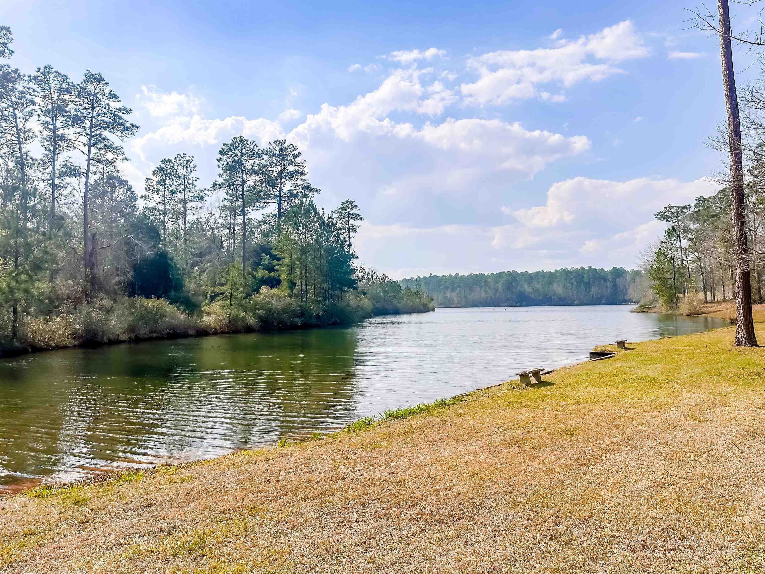 494 Lake Juniper Road Brewton, AL 36426 - Photo 12 of 40 Gallery Image 12