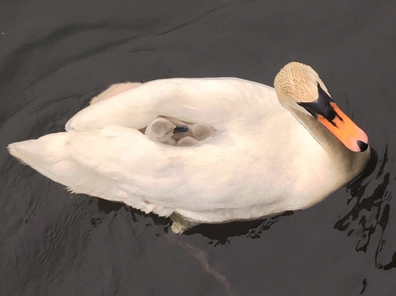 49 Boat House Road Groton, MA 01450 - Photo 34 of 34