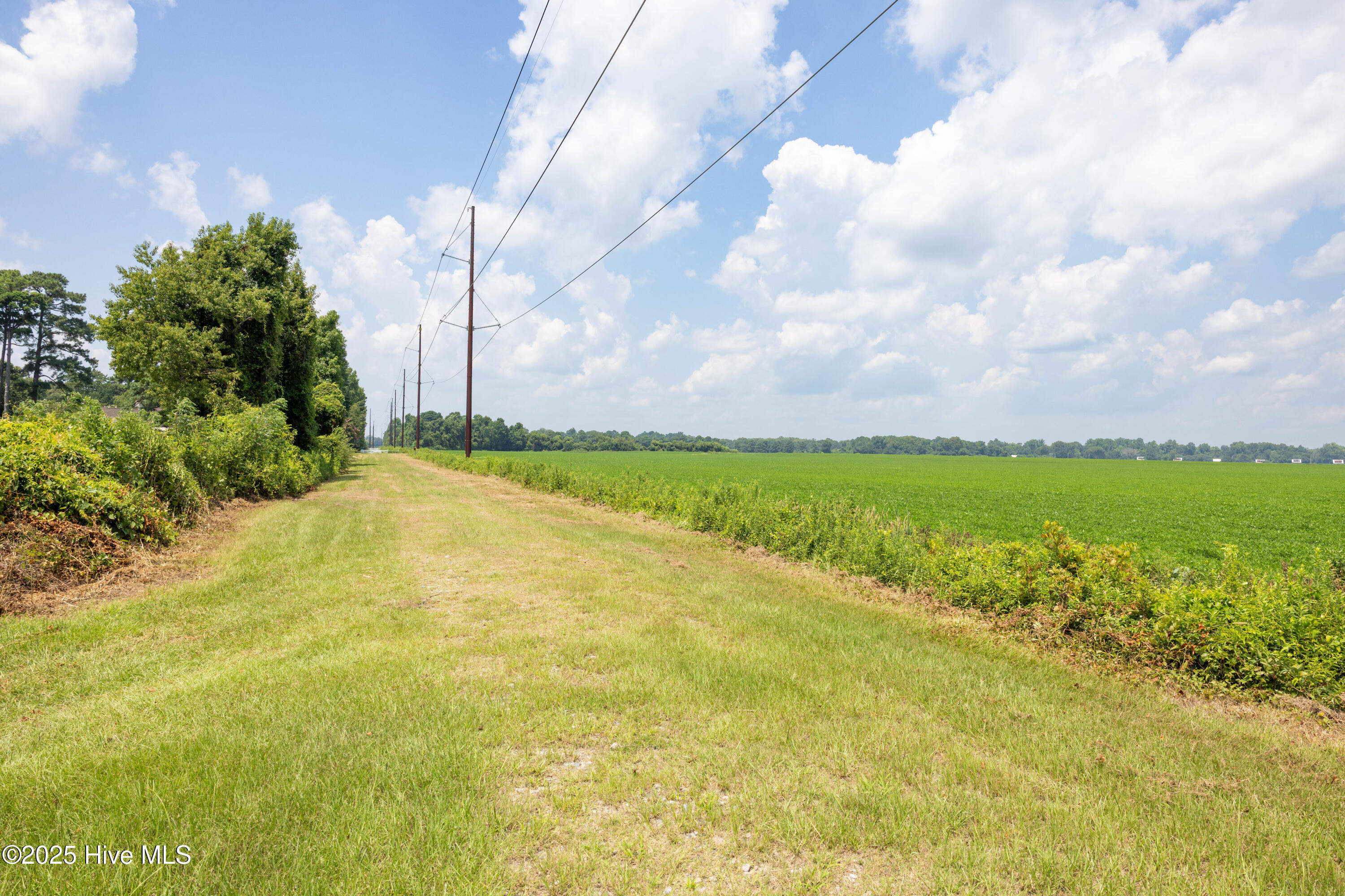 112 Deer Path Trail Edenton, NC 27932 - Photo 11 of 12 Easement