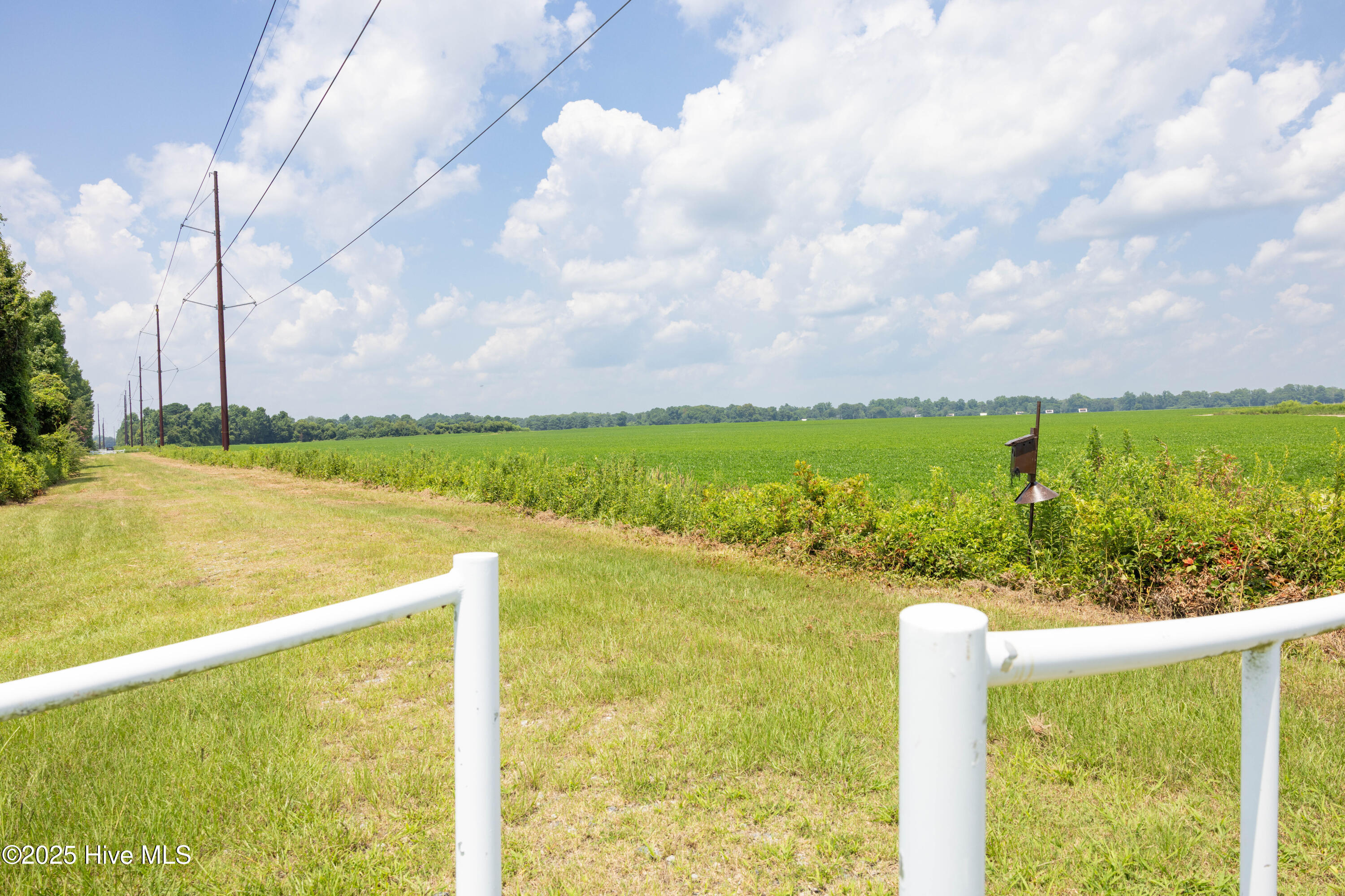 112 Deer Path Trail Edenton, NC 27932 - Photo 12 of 12 Easement/Hayes Farm