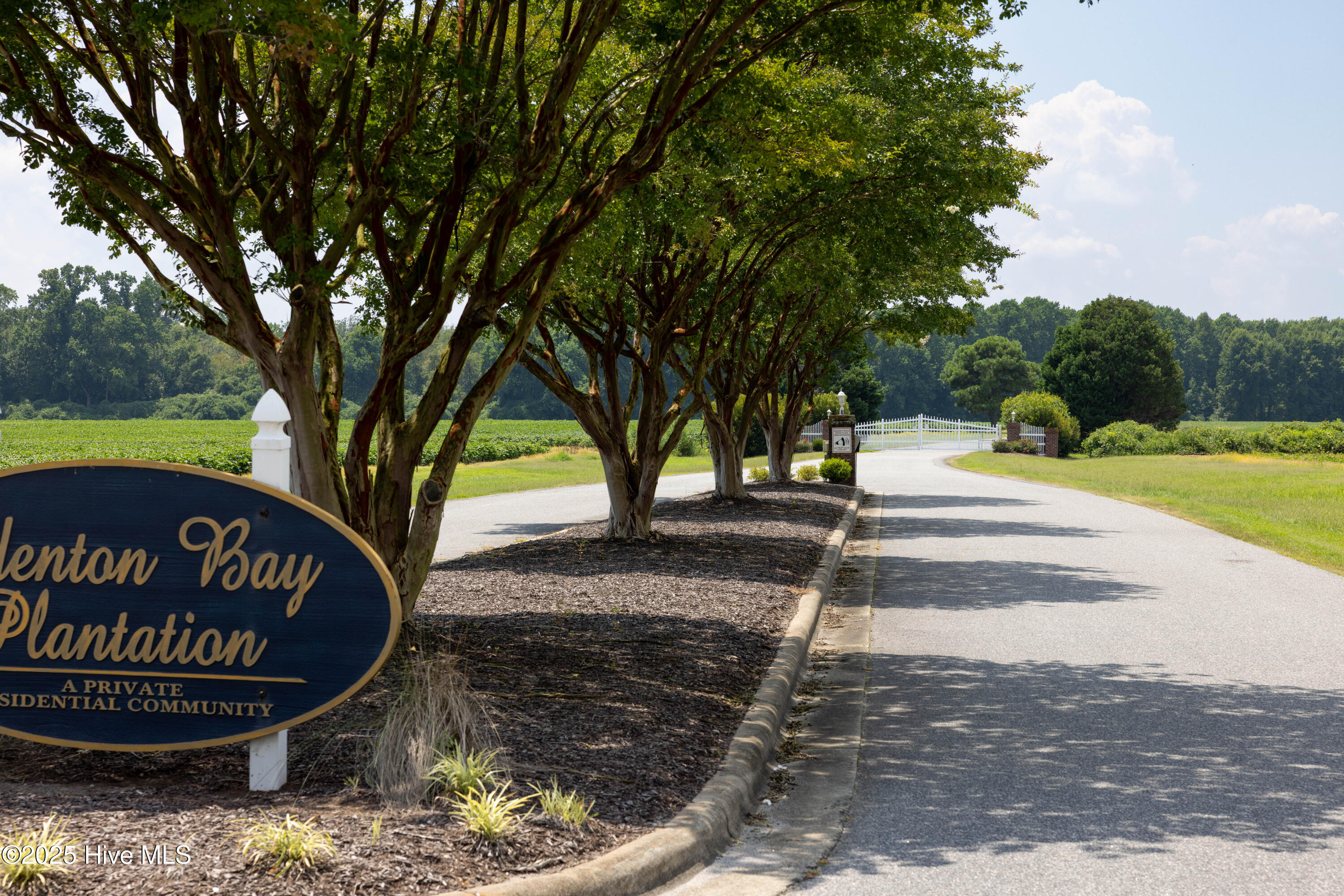 112 Deer Path Trail Edenton, NC 27932 - Photo 8 of 12 EBP