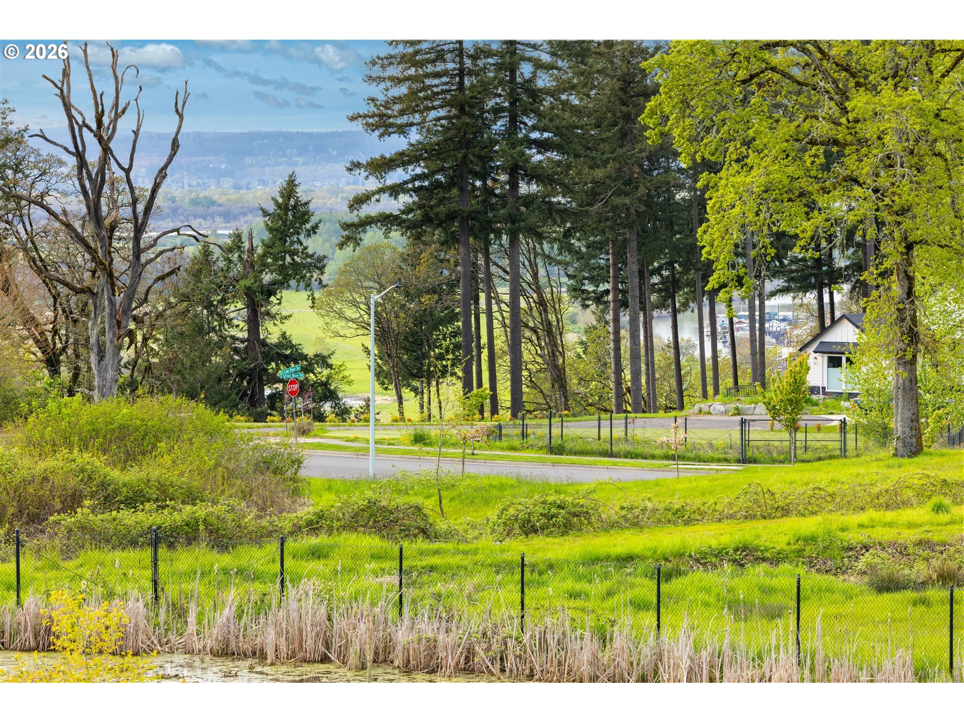 1274 South 15th Way Ridgefield, WA 98642 - Photo 42 of 46 a grassy field with trees in the background
