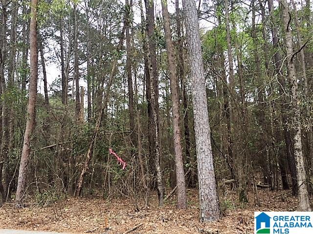 0 Patton Road, Unit 3 Tuscaloosa, AL 35404 - Photo 3 of 5