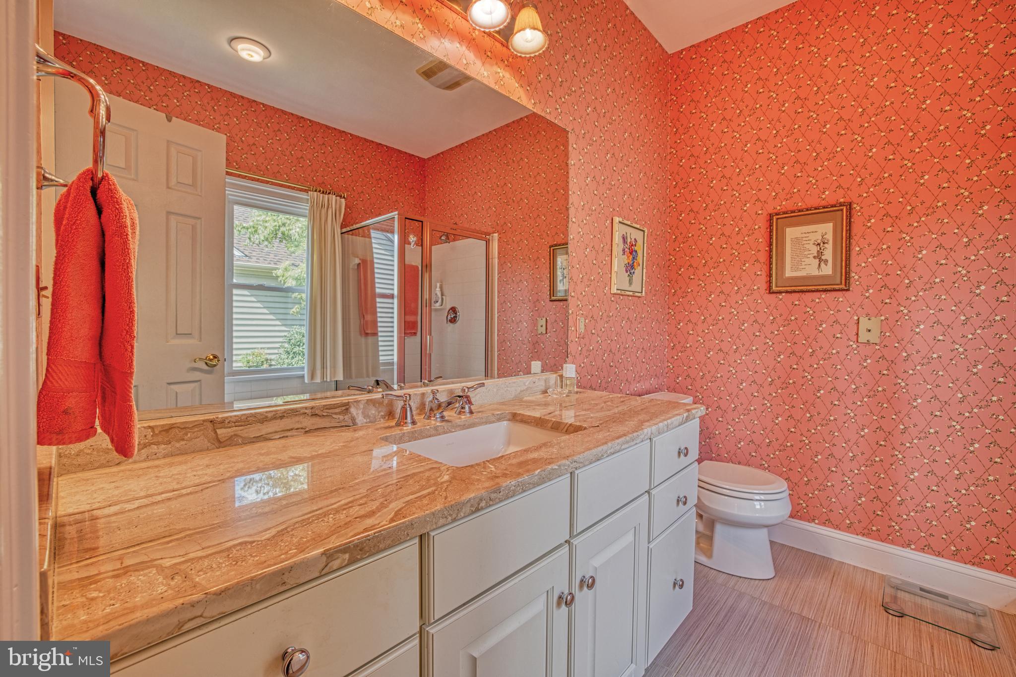 613 Country Club Road Culpeper, VA 22701 - Photo 17 of 31 Main level Master bath