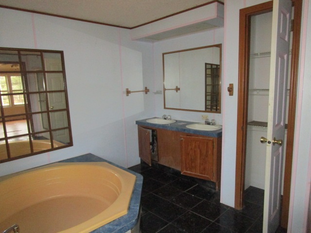 2160 Mt Torrey Road Lyndhurst, VA 22952 - Photo 10 of 16 a bathroom with a tub sink and mirror