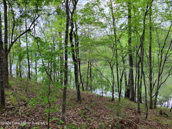 $130,000 | Lot 6 Hideaway Lane, Jacksons Gap, AL 36861