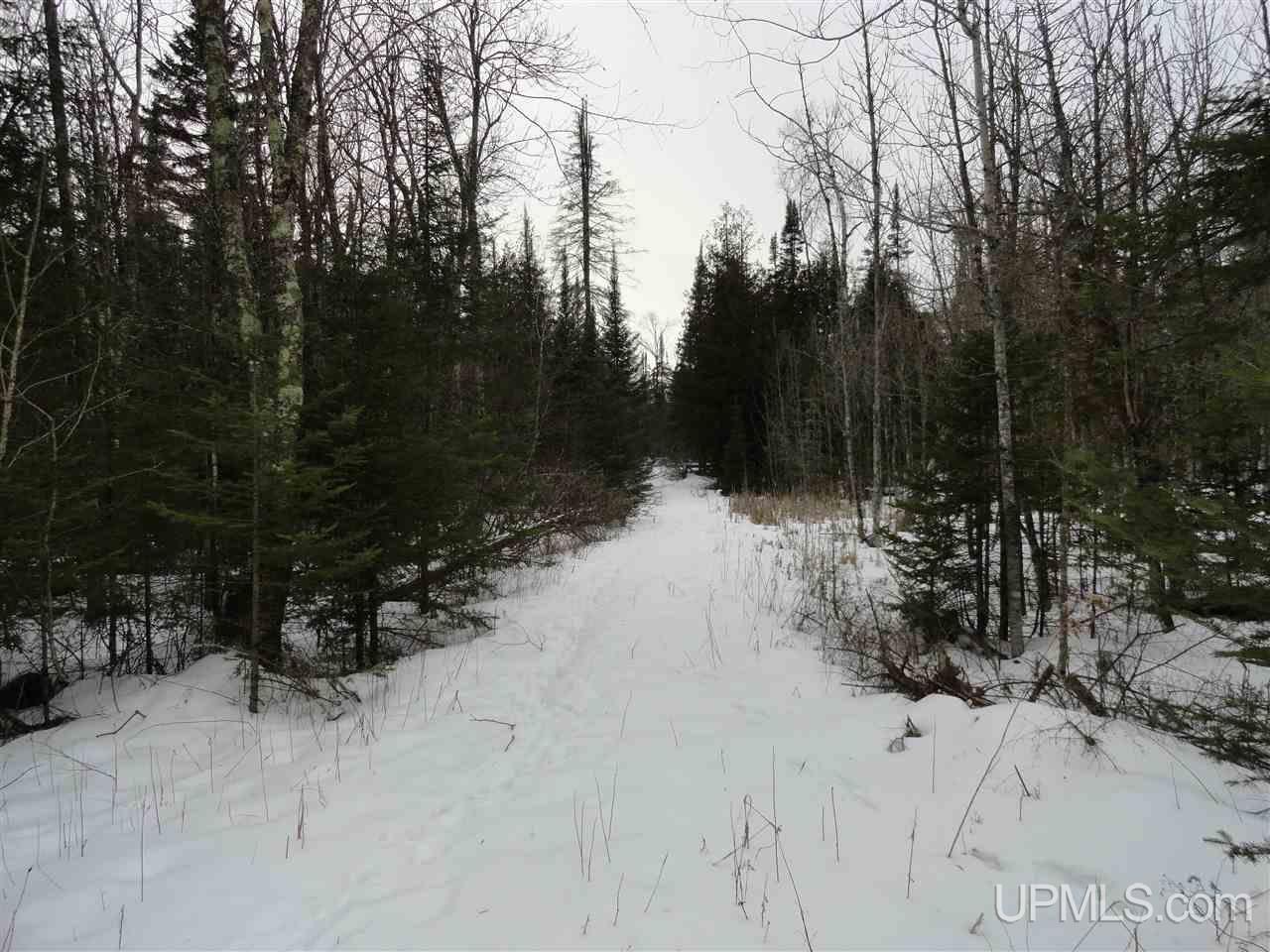 416 (23rd Road Gladstone, MI 49837 - Photo 19 of 36