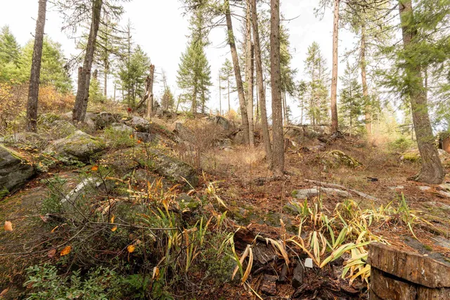 $215,000 | 7411 Fertile Valley Road, Newport, WA 99156