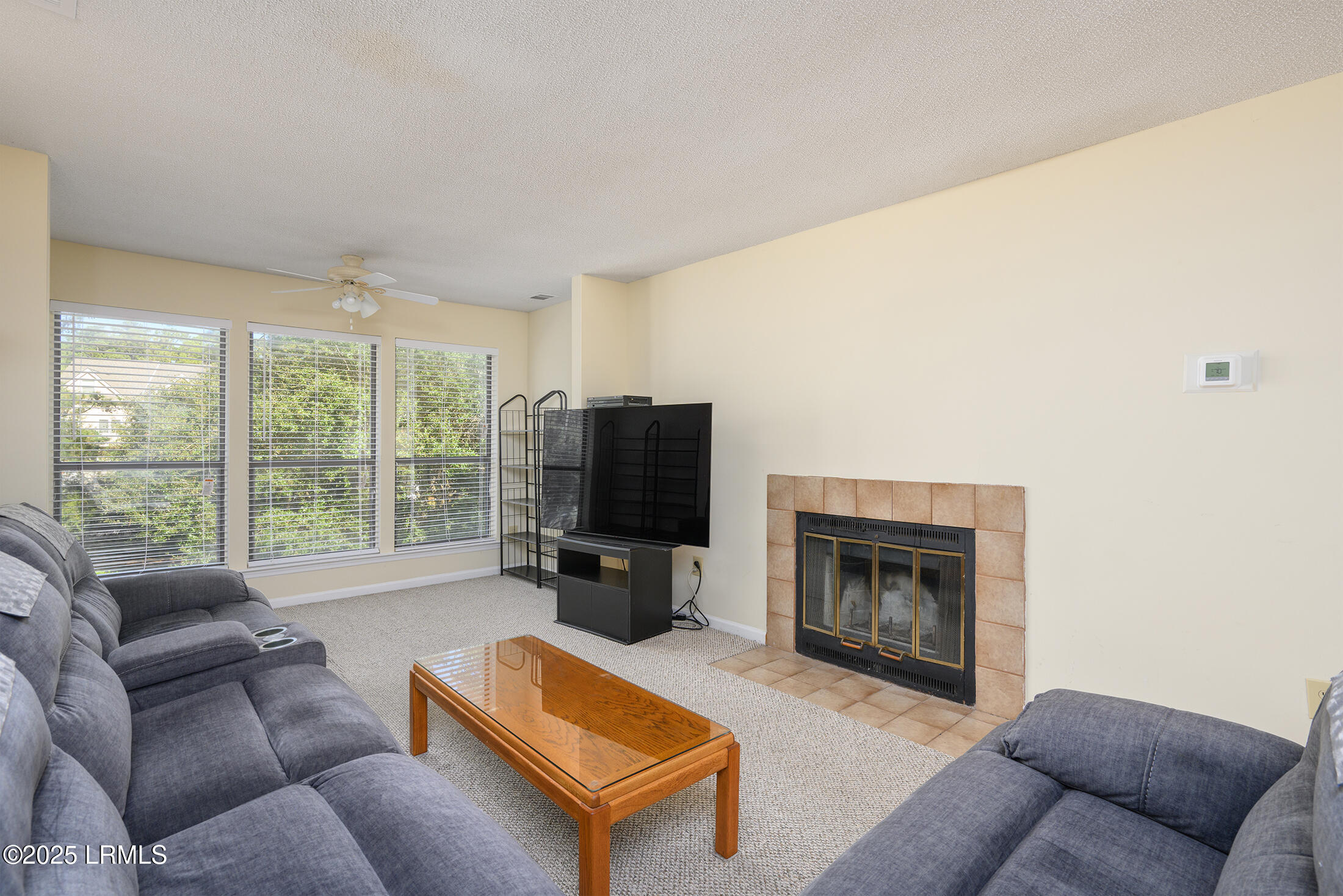 28 Forest Cove Road, Unit 28 Hilton Head Island, SC 29928 - Photo 3 of 26 DSC_1283 copy