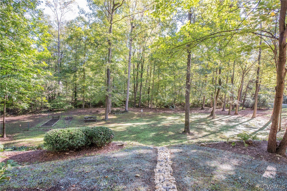 13124 Queensgate Road Midlothian, VA 23114 - Photo 46 of 50 a view of a tree in the middle of a yard